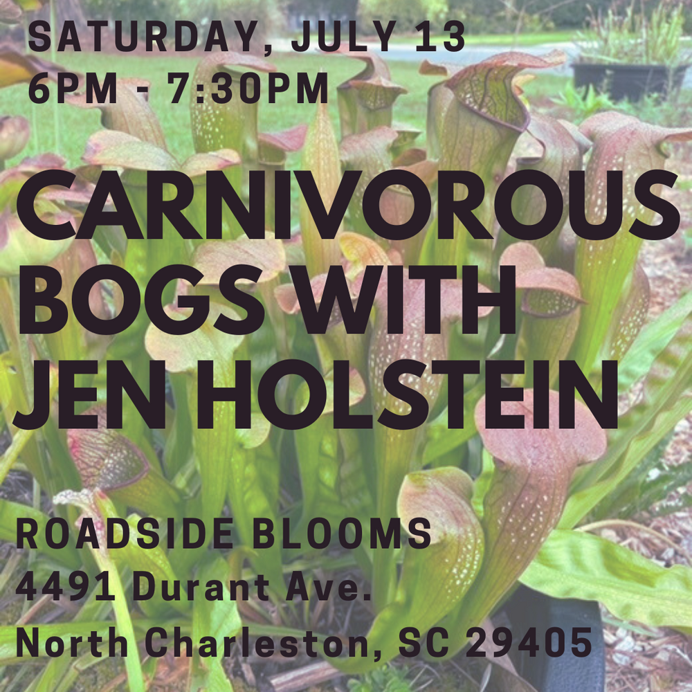 
                  
                    Saturday, July 13, 2024: Carnivorous Bog Workshop with Jennifer Holstein
                  
                