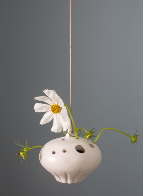 Lotus Flower Frog Budvase