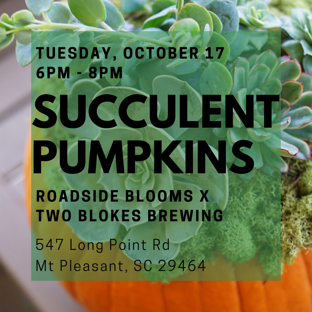 Tuesday, Oct. 17: Succulent Pumpkin Workshop @ Two Blokes Brewing
