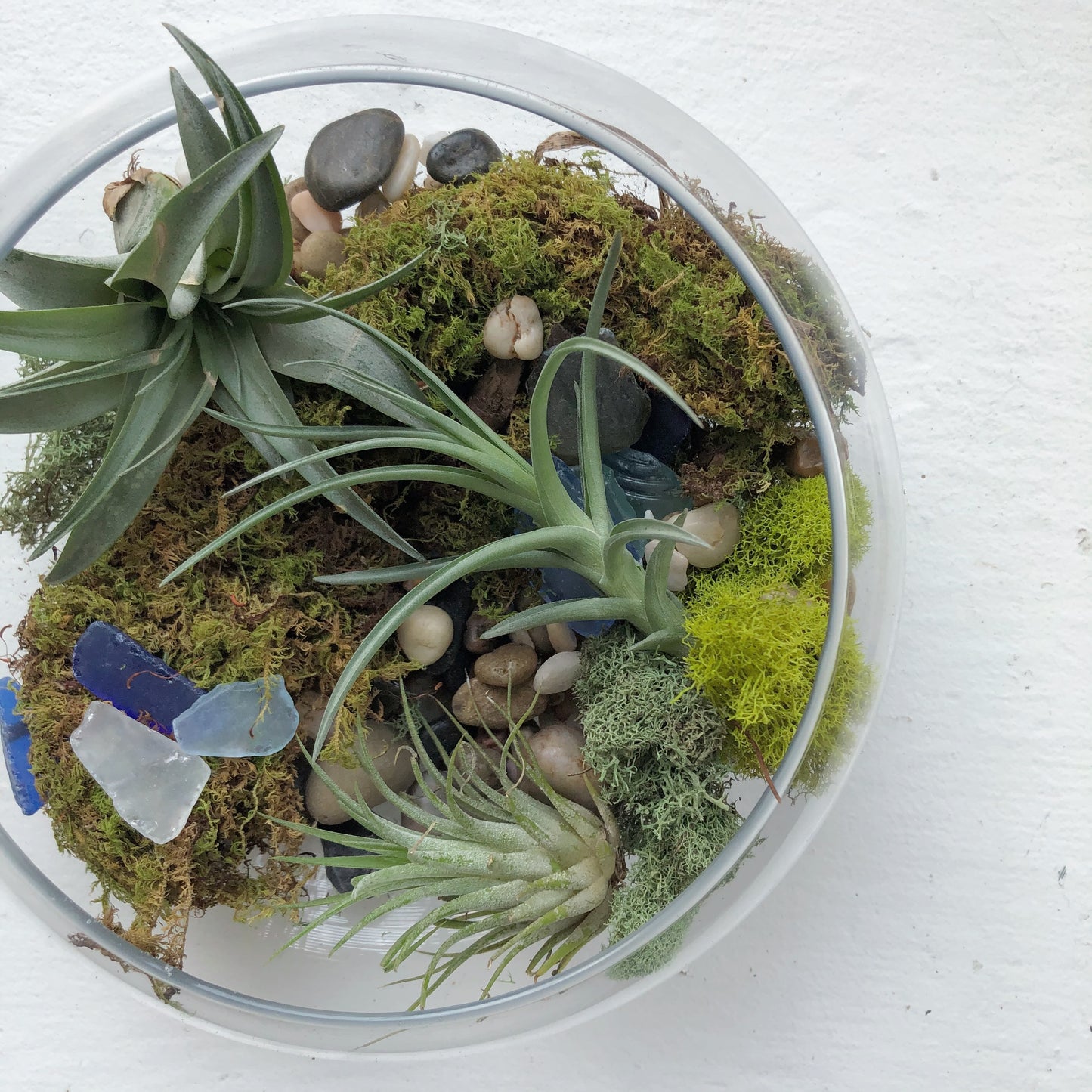 Terrariums Art Sticker Set | Plants | Planters | Succulents | Containers |  Potted Plants | Stickers | Garden | Plants in Jars
